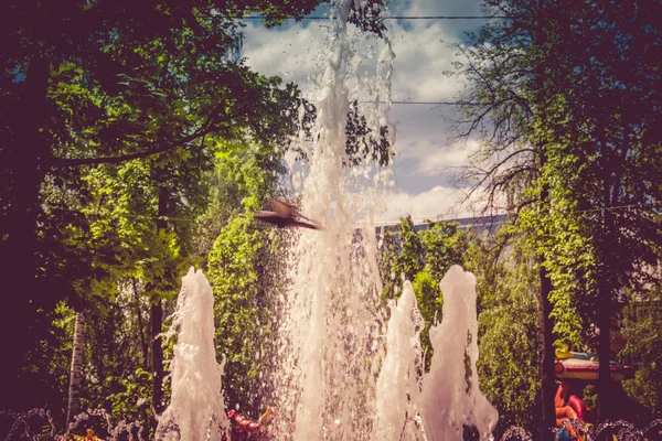 Разбрызгивание воды в фонтане — стоковое фото