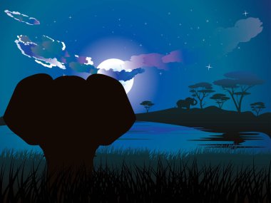 Fil ile Afrika gecelerinde