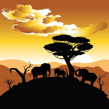 Fil ile Afrika günbatımı
