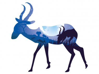 Antilop ile gece manzarası