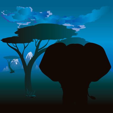 Fil ile Afrika gecelerinde