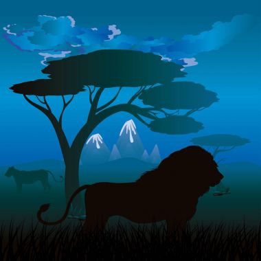 Aslan ile Afrika gecelerinde