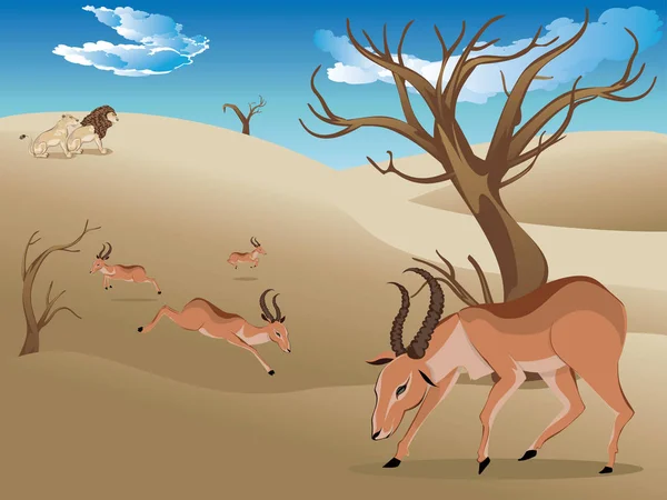 Landscape with Antelopes — Stock Vector