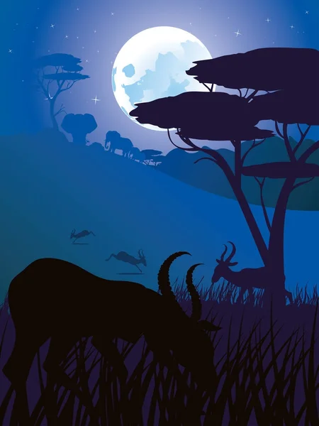 Nattlandskap med antiloper — Stock vektor