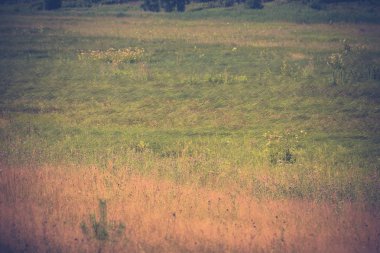 Yeşil çim çim Retro