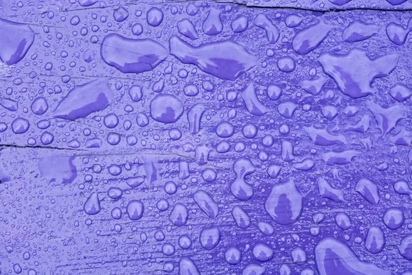 Raindrops on Violet Wood — Stock Photo, Image