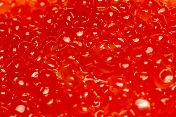 Macro de caviar rojo — Foto de Stock