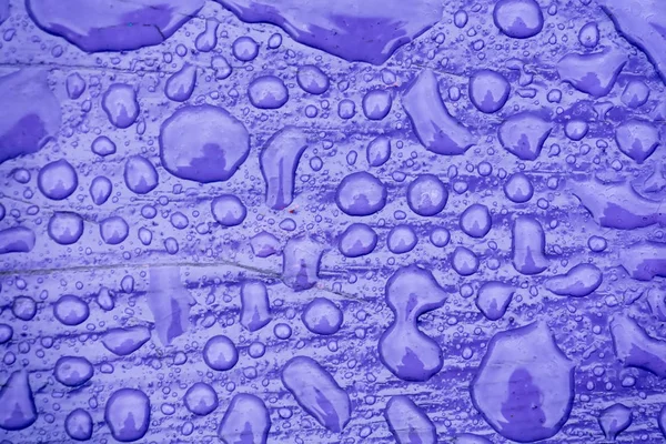 Raindrops on Violet Wood — Stock Photo, Image