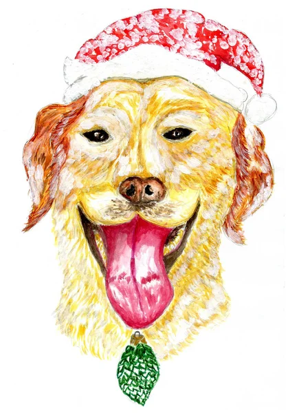 Roztomilý vánoční pes — Stock fotografie