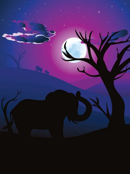 Noite Africana com Elefante — Vetor de Stock