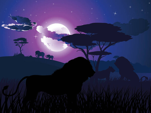 Африканская ночь со львом
