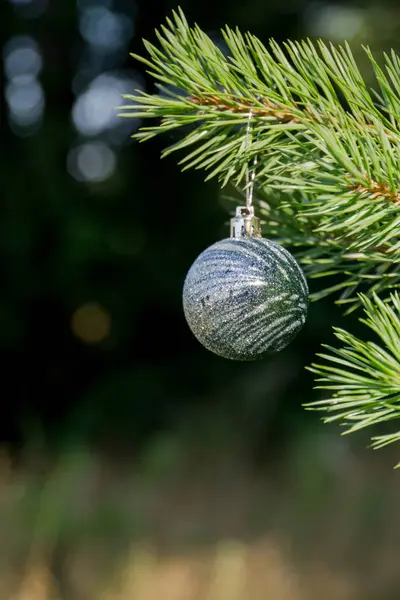 Bola de Navidad de plata —  Fotos de Stock