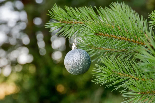 Silver Xmas Ball — Stock Photo, Image