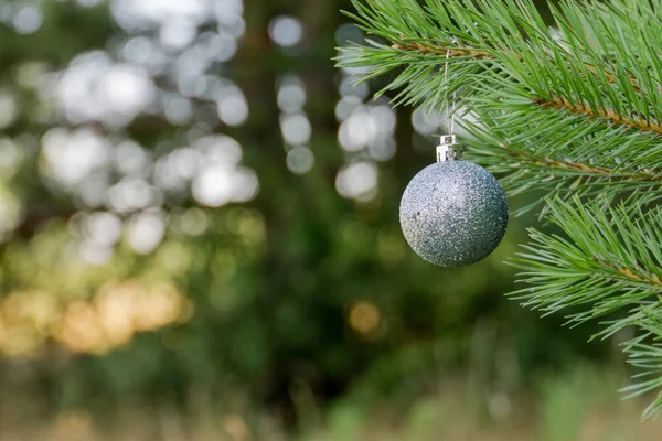 Silberne Weihnachtskugel — Stockfoto