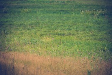 Yeşil çim çim Retro