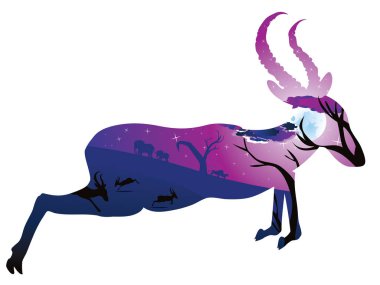 Antilop ile gece manzarası