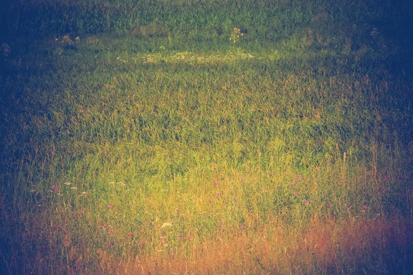 Zielona trawa trawnik Retro — Zdjęcie stockowe
