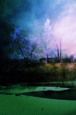 Snowy Rural Landscape