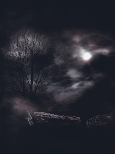 Dark Gloomy Landscape — Stock Photo, Image
