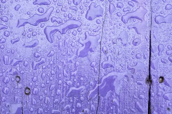 Gotas de chuva na madeira violeta — Fotografia de Stock