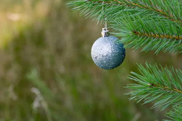 Silberne Weihnachtskugel — Stockfoto