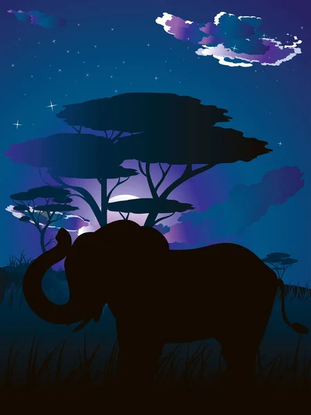 Noche africana con elefante — Vector de stock