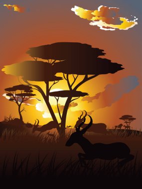 Antilop ile günbatımı manzara