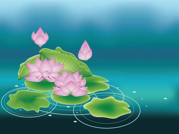 Lotus flower met bladeren — Stockvector