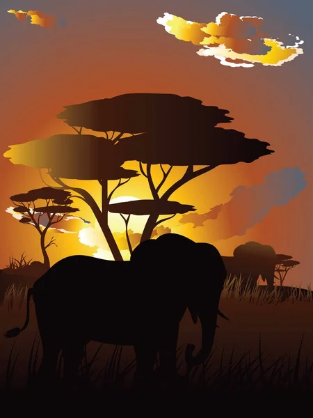 코끼리와 아프리카 일몰 — 스톡 벡터