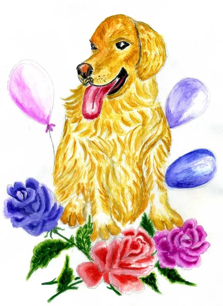 Pes s růží umění — Stock fotografie