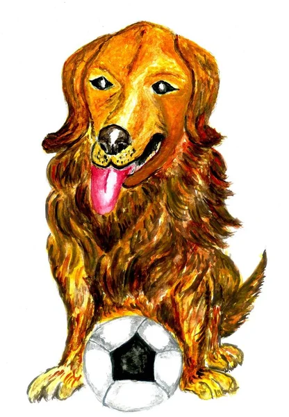 Football Dog Art — Stock Photo, Image