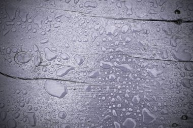 Yağmur damlaları Menekşe Wood filtre