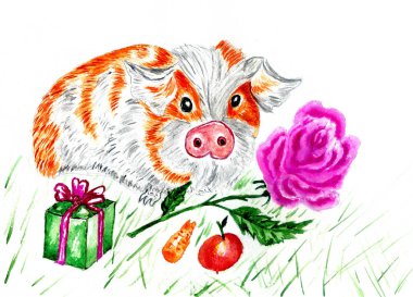 Şirin Cavy suluboya