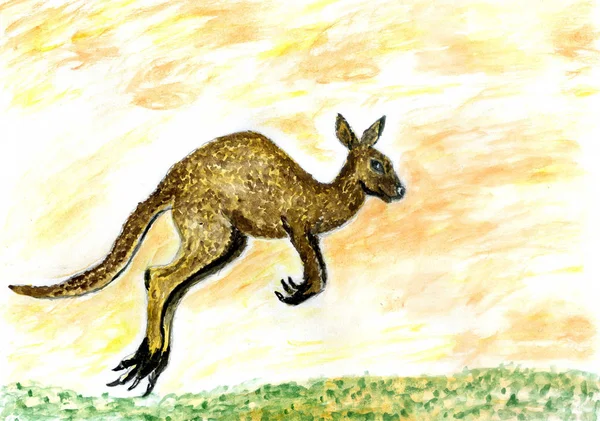 Kreskówka kangur — Zdjęcie stockowe