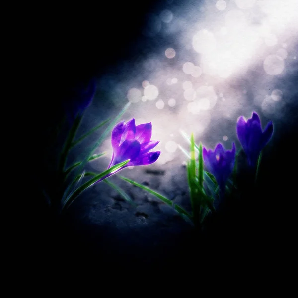 Abstract Flower Illustration — Stock Photo, Image