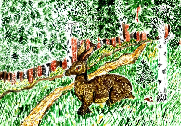 Wild Hare i gräs konst — Stockfoto