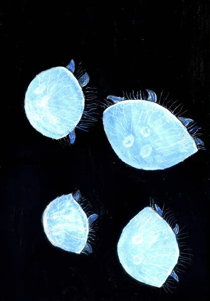 Arte colorido de medusas — Foto de Stock