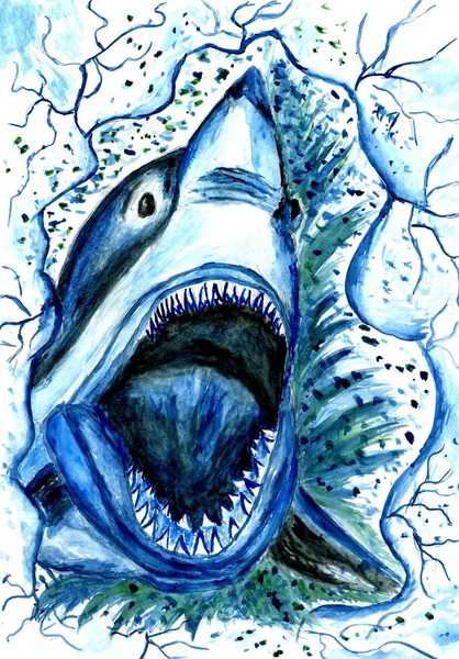 Hungry Shark Drawing