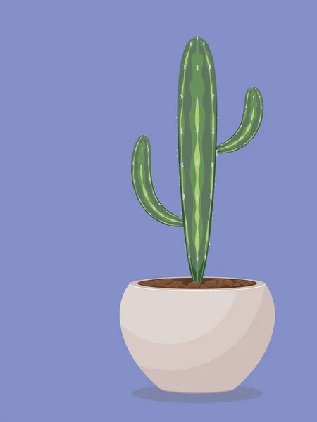 Succulent in a Pot — Stock Vector