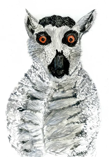 Lindo Lemur acuarela — Foto de Stock