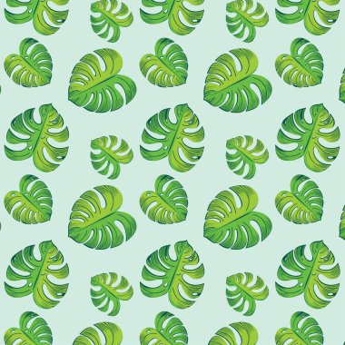 Yeşil monstera yaprakları