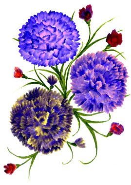 Karanfil çiçek sanat