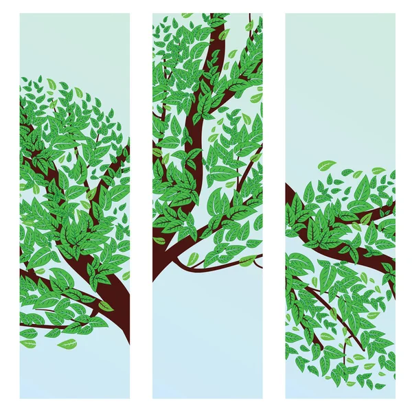 Banner con hojas verdes en rama — Vector de stock