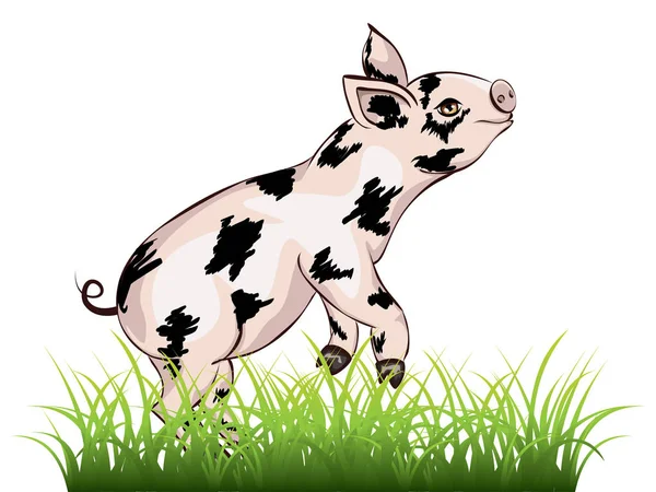 Cute Playful Piglet — Stock Vector