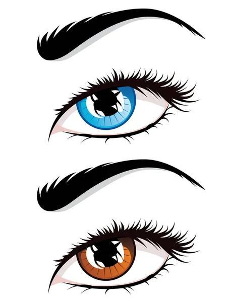 Ögon med långa ögonfransar — Stock vektor