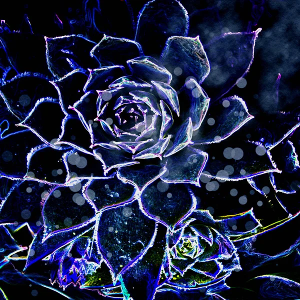 Abstracte succulente illustratie — Stockfoto