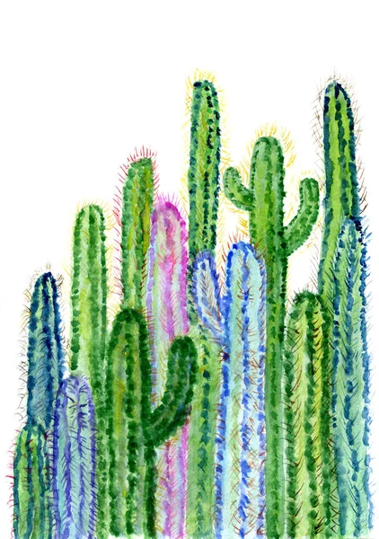 Cactus aquarelle art — Photo