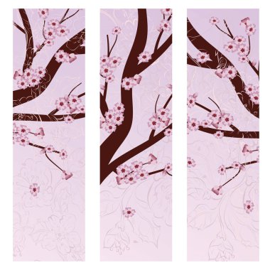 Çiçek açan Sakura afiş