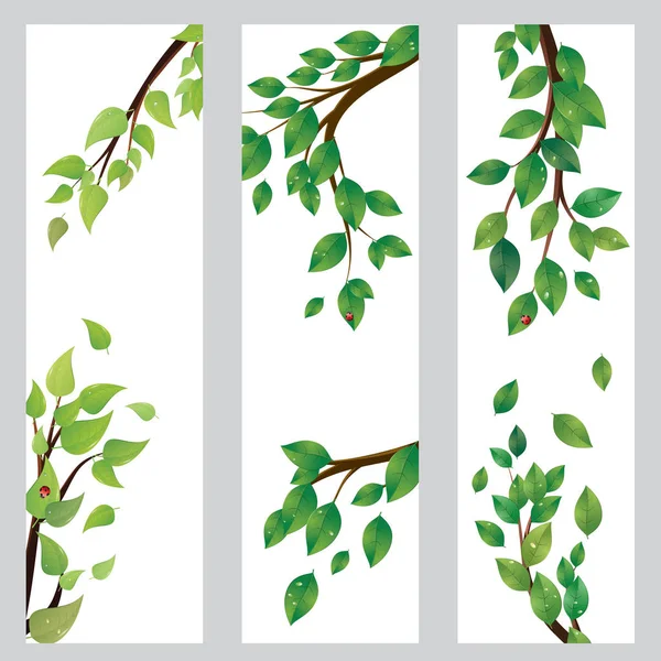 Banner with green leaves on branch — Stock Vector
