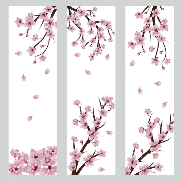 Estandarte flor de Sakura — Vector de stock